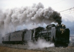 ニュース画像：SL D51 498 - 「群馬DCキャンペーン臨時列車と団体専用列車、一部運休」