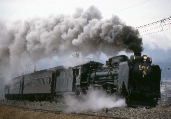 画像：SL D51 498 - 「群馬DCキャンペーン臨時列車と団体専用列車、一部運休」