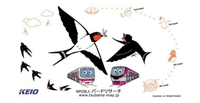 ニュース画像：フン受け板デザイン - 「京王電鉄、駅のツバメの巣の下にフン受け板を設置 7月ごろまで」