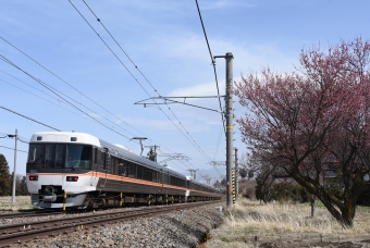 ニュース画像：おなだいさんの鉄道フォト - 「JR東海、5月と6月の在来線臨時列車を運転取り止め」