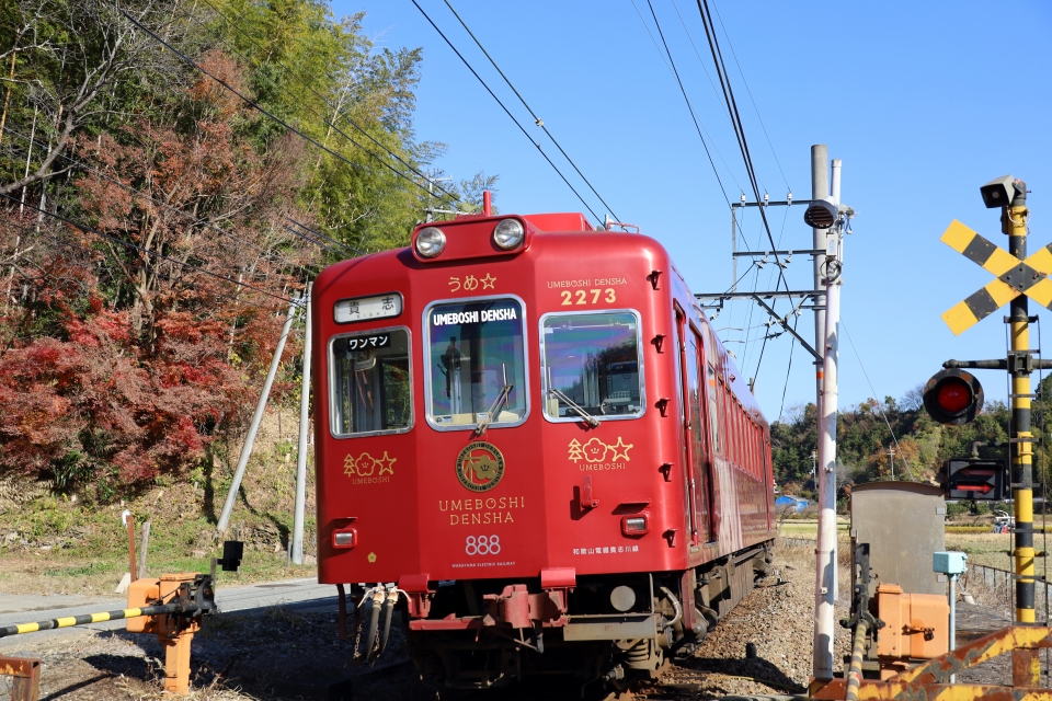 ニュース画像：norikadさんの鉄道フォト - 「和歌山電鐵、人気車両のペーパークラフトを期間限定で無料公開」