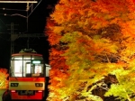 ニュース画像：貴船口駅のライトアップ - 「叡山電鉄、11月3日から沿線で紅葉ライトアップ  「もみじのトンネル」など」