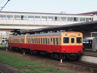 ニュース画像：tokadaさんの鉄道フォト - 「「小湊鐵道 バスも鉄道も！堪能ツアー」参加者募集 6月11日まで」