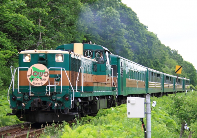 ニュース画像：Kazoo8021さんの鉄道フォト - 「JR北海道、ノロッコ号など夏の一部臨時列車の指定席販売を開始」