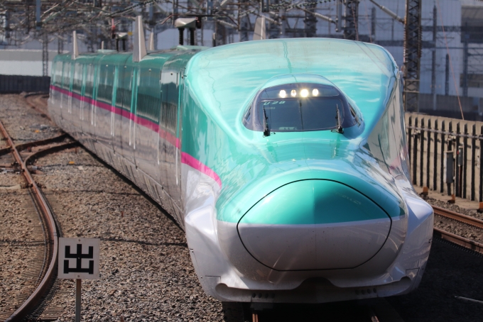 ニュース画像：BOEING737MAX-8さんの鉄道フォト - 「東北・北海道新幹線、臨時「はやぶさ」指定席販売を再開」