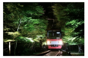 ニュース画像：もみじのトンネル、過去の催し - 「叡山電鉄、短冊飾る「七夕伝車」を運行 青もみじもライトアップ」