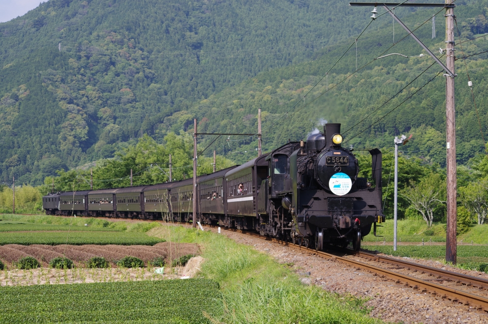 ニュース画像：apphgさんの鉄道フォト - 「大井川鐵道のSL・あぷとラインと富士山遊覧飛行、9月と10月に開催」