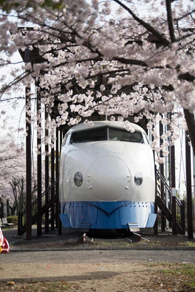 ニュース画像：新幹線公園の0系 - 「摂津市の新幹線公園、2020年度中は展示車両の内部を毎週日曜に公開」