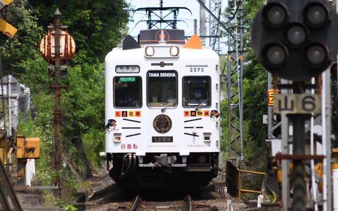 ニュース画像：papaさんの鉄道フォト - 「和歌山電鐵、8月に「夏休み子ども電車教室」 参加者を募集」