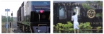 ニュース画像：ななつ星 イメージ - 「阿蘇駅、「ななつ星のお店」期間限定オープン 8月8日から」