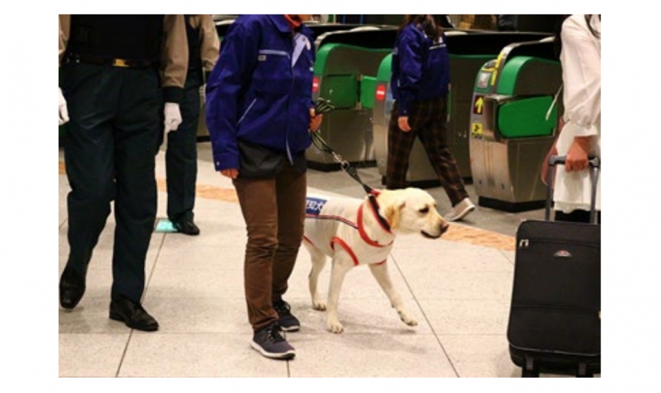 ニュース画像：12月に実施された運用試験 - 「JR東、真夏に危険物探知犬の運用試験」