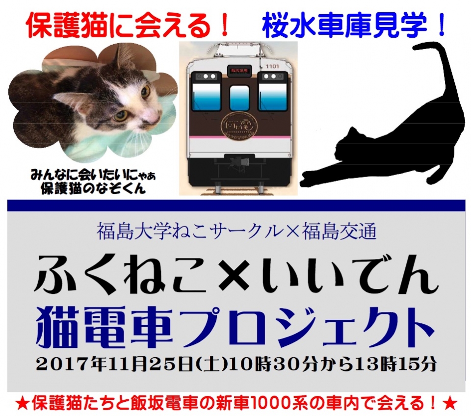 ニュース画像：福島交通「ふくねこ×いいでん猫電車プロジェクト - 「福島交通、「猫電車プロジェクト」で貸切列車運行へ 保護猫と里親マッチング」