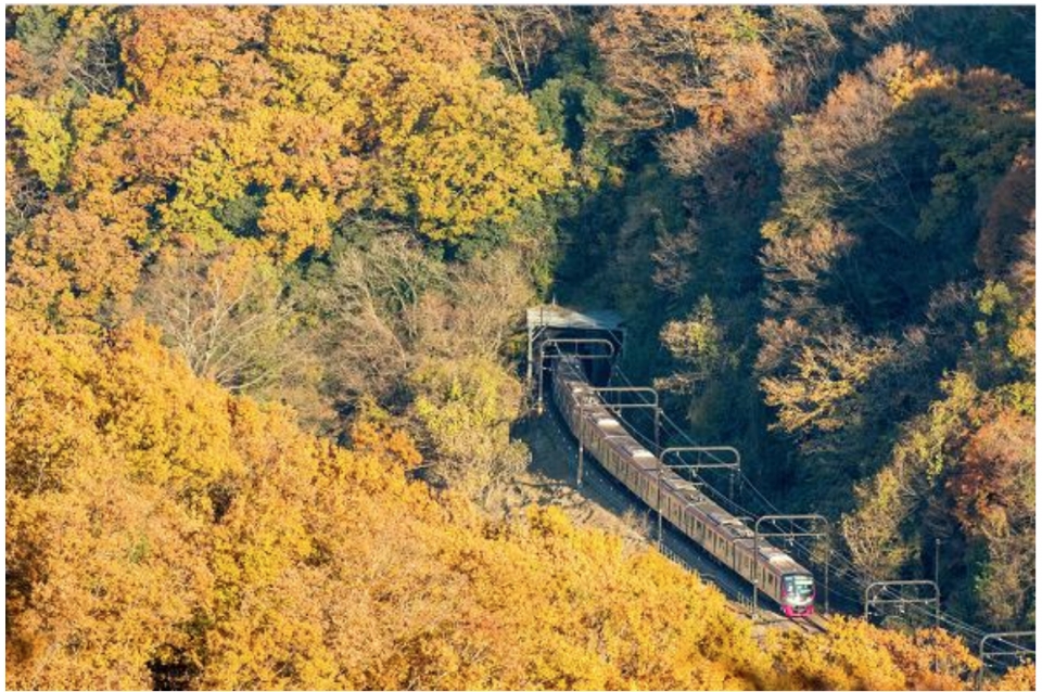 ニュース画像：高尾線を走る5000系と紅葉 - 「京王、高尾山の紅葉にあわせ臨時「Mt.TAKAO号」」