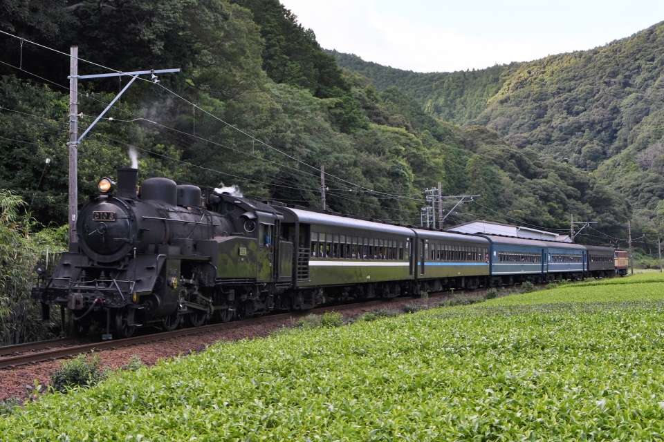 大井川鐵道、SL「かわね路号」10月8日運転再開 | レイルラボ ニュース