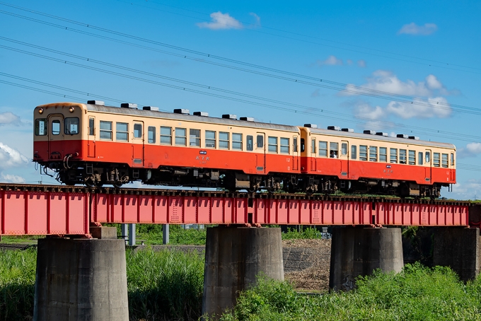 ニュース画像：小湊鉄道キハ200形イメージ(Tomo-Papaさん撮影) - 「小湊鐵道キハ202、定期運用終了 10月10日に貸切列車運転」
