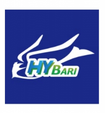 画像：HYBARI ロゴ - 「JR東、水素利用の燃料電池車両 日立・トヨタと共同開発」