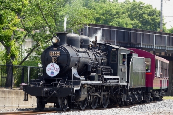 ニュース画像：SLスチーム号 「蒸気機関車8620形8630号機」(norikadさん撮影) - 「京都鉄道博物館でSL「無限列車」運行 12月26日から」