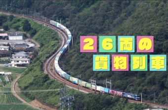 ニュース画像：所さん!大変ですよ - 「NHK 所さん!大変ですよ「なぜか大人気!? 貨物列車の時刻表」」