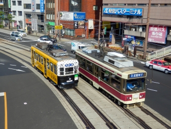 ニュース画像：長崎電気軌道(さんたかさん撮影) - 「長崎電気軌道、路面電車モニターを募集」