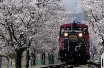 ニュース画像：嵯峨野トロッコ列車 - 「嵯峨野トロッコ列車、3月から今シーズン運転開始 セレモニーは無し」
