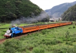 ニュース画像：きかんしゃトーマス号 (Kazoo8021さん撮影) - 「大井川鐵道、2021年も「きかんしゃトーマス号」運行継続」