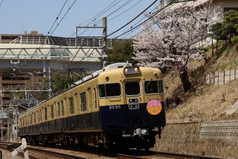 ニュース画像：復刻ツートンカラーの山陽電車「3030」(norikadさん撮影)
