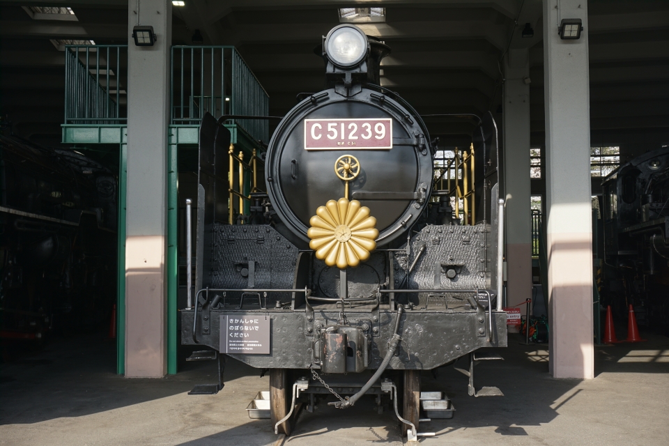 ニュース画像：菊の御門が眩しい C51 239(トレインさん撮影) - 「再開したら行きたい！5年を迎える京都鉄道博物館の見どころ」