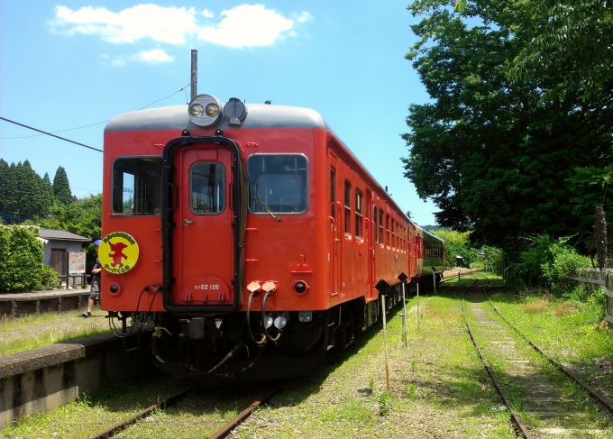 ニュース画像：(papaさん撮影) - 「NHK、鶴瓶の家族に乾杯で人気のローカル線・いすみ鉄道 5/24」