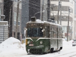 ニュース画像：札幌市電M100形電車M101(わんべあさん撮影) - 「札幌市電「M101」路面電車の日に引退発表、VR画像も公開」