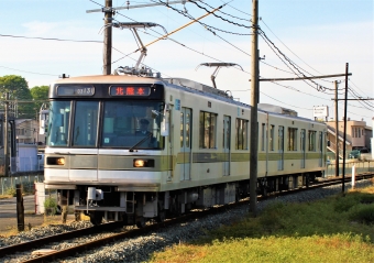 ニュース画像：熊本電気鉄道03形 (もこっここっここさん撮影) - 「熊本電鉄、7月に6000形・03形の運転体験を開催」