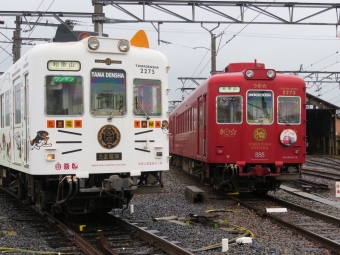 ニュース画像：ねこ耳がかわしい「たま電車」と真っ赤な「うめ星電車」(kinokuniさん撮影)