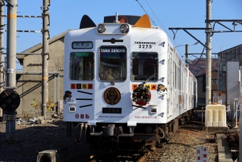 ニュース画像：たま電車(norikadさん撮影)