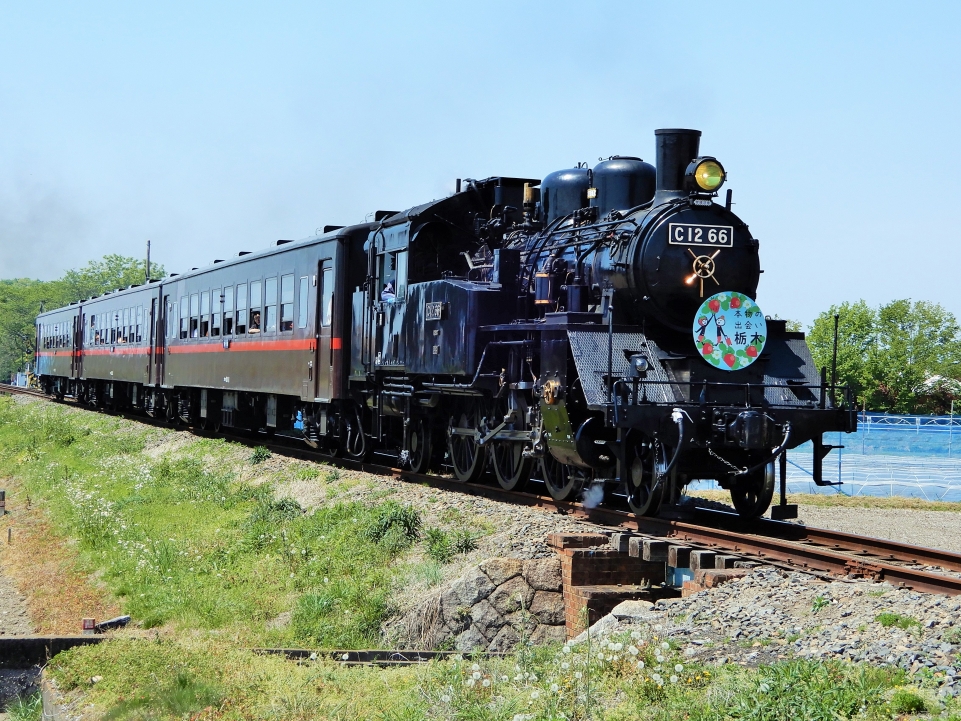 ニュース画像： C12 66 SLもおか (papaさん撮影) - 「Japan Railway Journalで真岡鐵道のSL特集」
