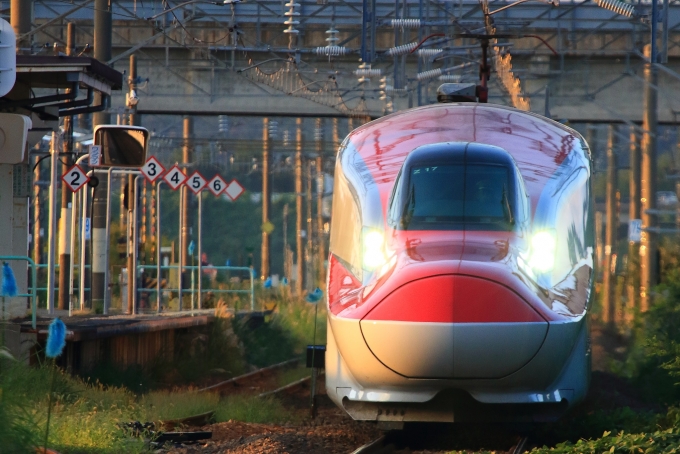 ニュース画像：2021年のテーマは「新幹線」(レンタくんさん撮影) - 「三笠鉄道村模型コンテスト、「新幹線」テーマに作品募集」