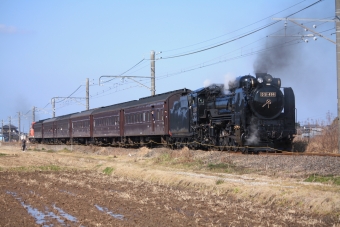 ニュース画像：D51形 蒸気機関車 (フレッシュマリオさん撮影) - 「陸羽東線で8年ぶりにSL走行 「SL・DL東北DC陸羽東線号」運行」