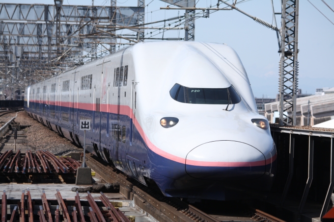 ニュース画像：E4系新幹線電車(フレッシュマリオさん撮影) - 「E4系「サンキューMaxとき」、ラストランは10/17 東京11時44分発新潟行きツアー」