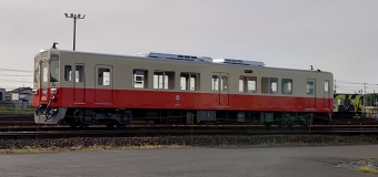 ニュース画像：復刻塗装車両 (みずほさん撮影) - 「関東鉄道の復刻塗装キハ2401・2402号、指定運行開始」