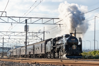 鬼滅の刃 無限列車風 SL D-51模型 鬼滅の刃 無限列車風 SL D-51模型