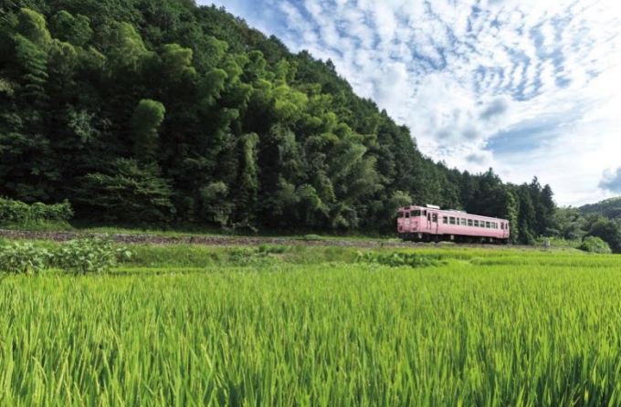 ニュース画像：外観イメージ - 「JR西、岡山県北エリアの新観光列車 名称は「SAKU美SAKU楽」に決定」