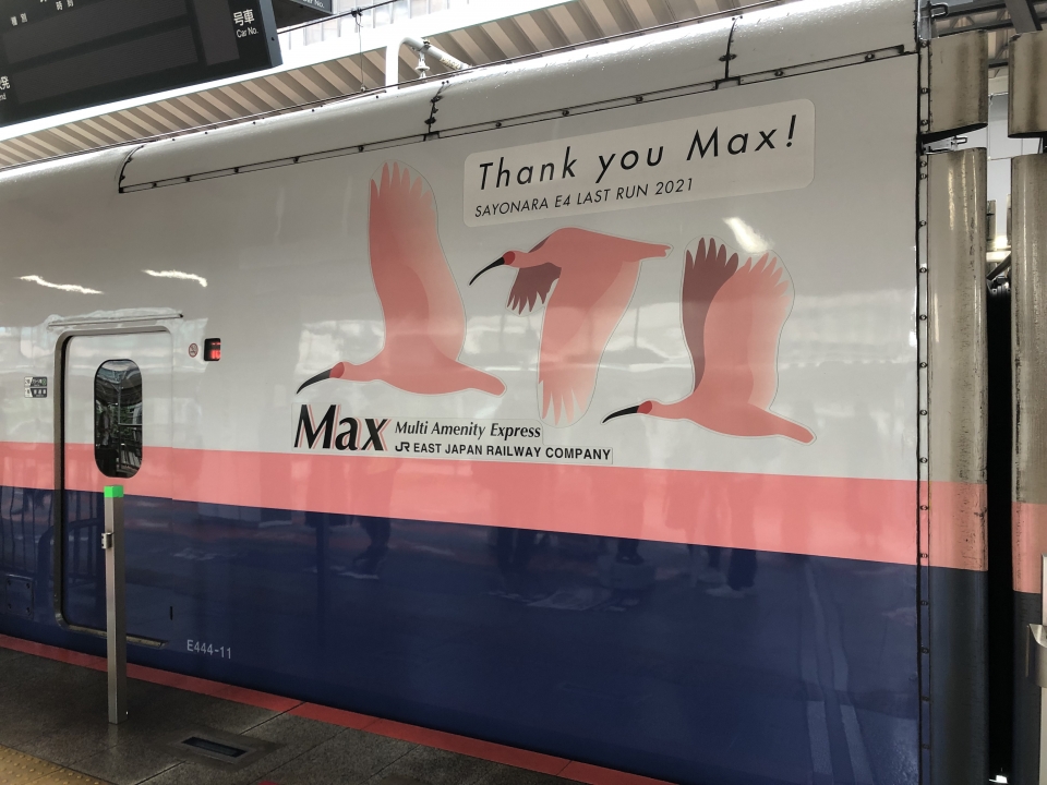ニュース画像：3羽のトキが羽ばたいています(dj_uskeさん撮影) - 「定期運行終了は10月1日！2階建て新幹線「E4系Max」が伝説になる前に愛を叫ぶ」