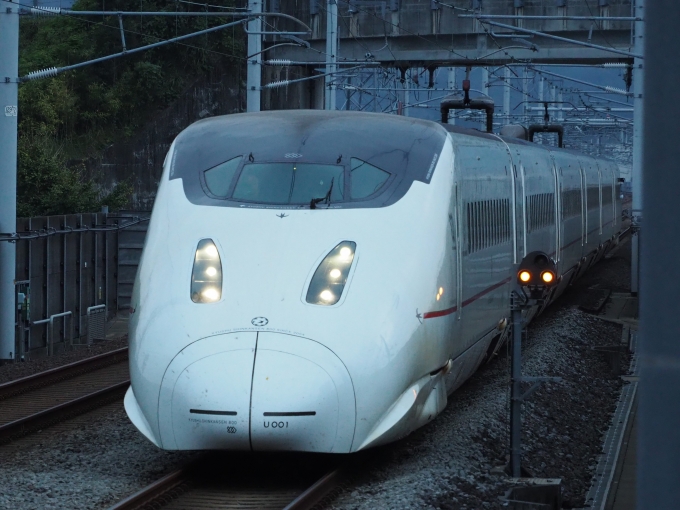 ニュース画像：九州新幹線 (tokadaさん撮影) - 「JR九州乗り放題の「みんなの九州きっぷ」、10月6日発売」