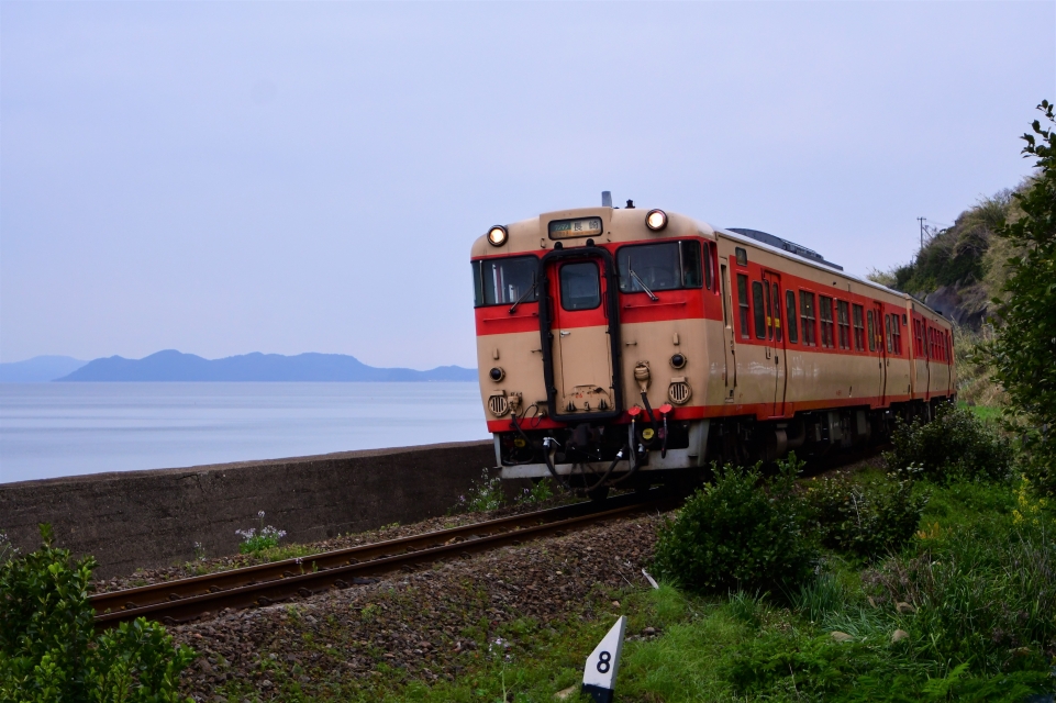 ニュース画像：キハ66形 (papaさん撮影) - 「JR九州、6月引退のキハ66・67形車両部品を追加販売」