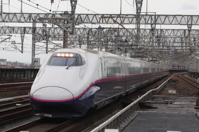 ニュース画像：E2系「はやて」2012年9月 大宮駅 撮影(フレッシュマリオさん撮影) - 「東京・上野発「はやて」、2021年末3日間に臨時運転 E2系も？」