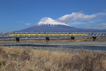 ニュース画像：東海道新幹線 富士川橋梁 2021年3月撮影(hiroshiさん撮影)