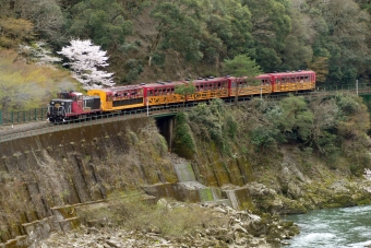 ニュース画像：嵯峨野トロッコ列車 (norikadさん撮影) - 「嵯峨野トロッコ列車、3月から2022年シーズン運転開始」