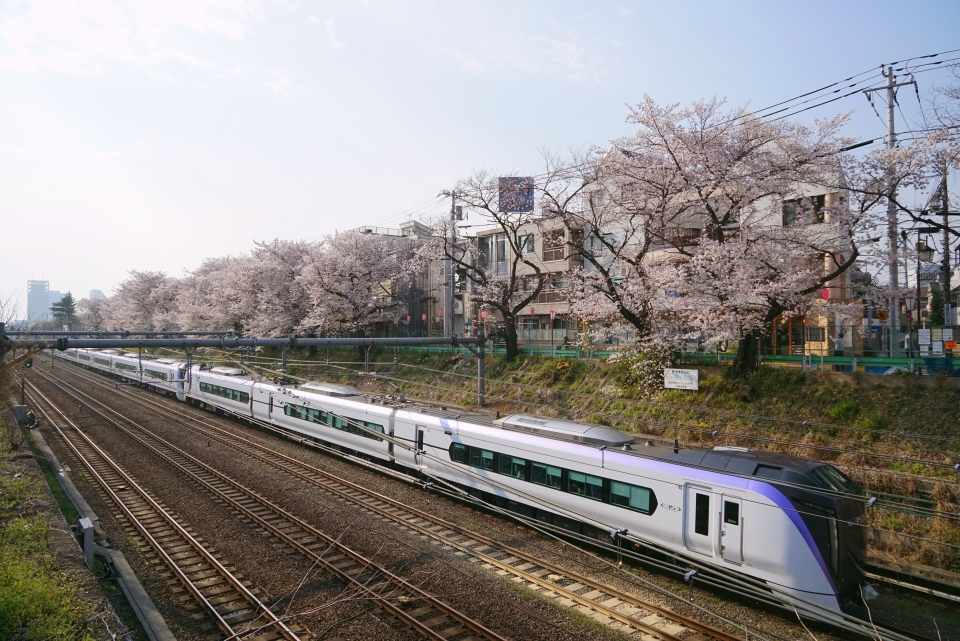 ニュース画像：JR東日本 E353系 2018/03/18撮影(とっきーさん撮影) - 「満開ラッシュ始まる！全国の桜と鉄道の人気撮影地まとめ  2023年更新版」