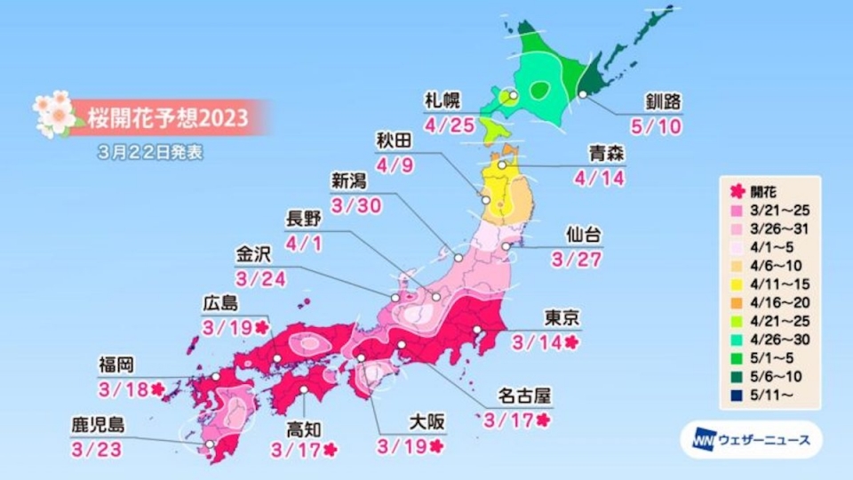 ニュース画像 1枚目：ウェザーニューズ「第七回桜開花予想」2023