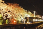 ニュース画像：美しい夜桜ライトアップ - 「富士急行線、名所5箇所で夜桜ライトアップ 4/24まで」