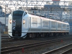 ニュース画像：成田エクスプレス 全列車再開！(E259系 ディーノさん 2022年03月12日撮影) - 「入国制限緩和でついに復活！特急「成田エクスプレス」、全列車運転再開へ 10/1から」