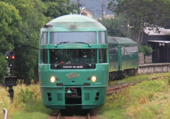 ニュース画像：人気の特急「ゆふいんの森」、当分の間、全列車で運休(キハ72系 Kazoo8021さん 2022年06月19日撮影)
